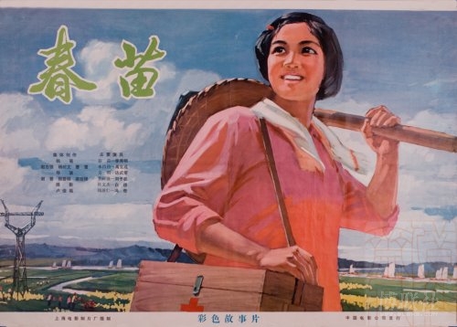 帕多瓦音乐学院 Business degree certificate